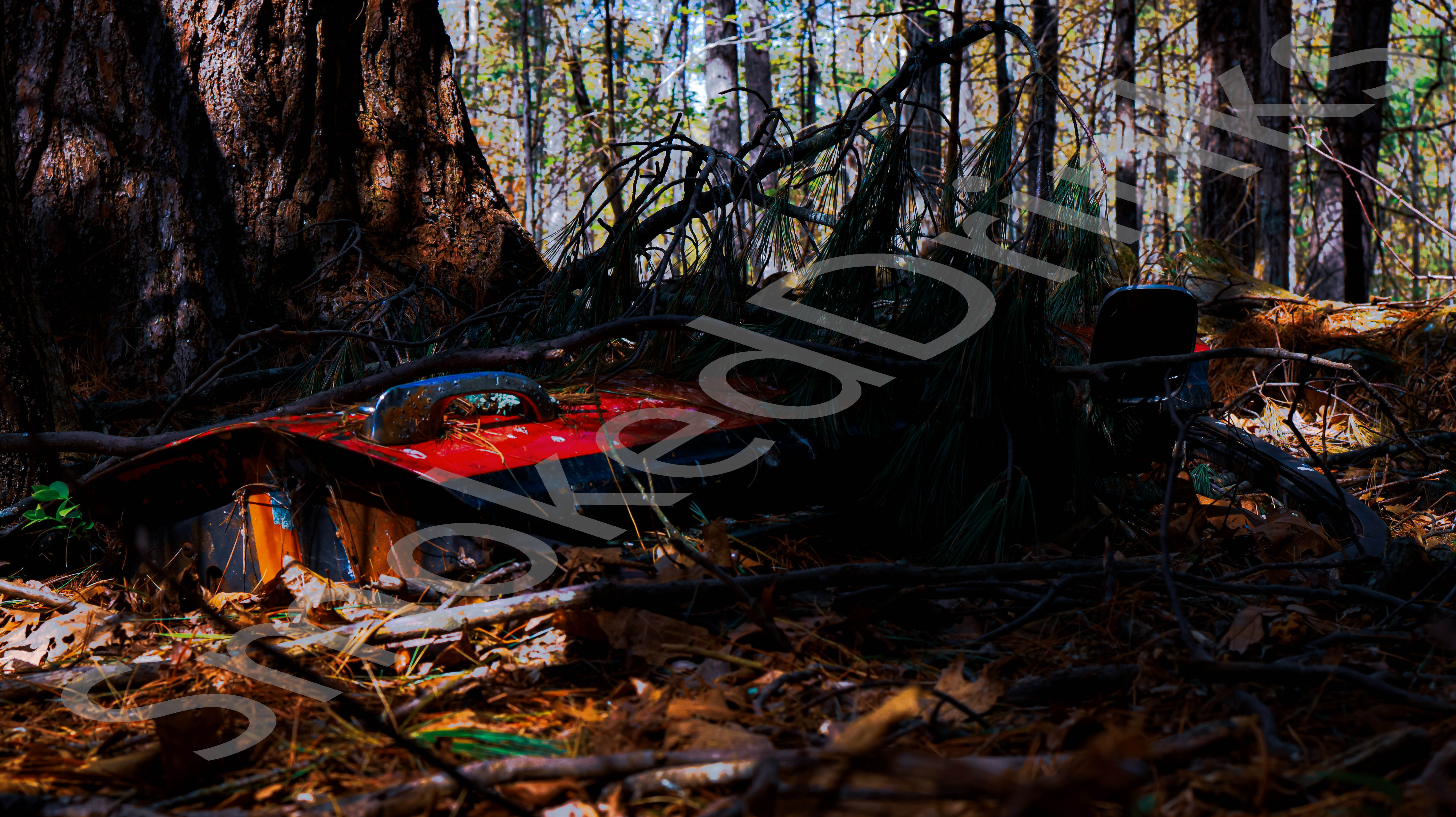 Junk Pile In Woods