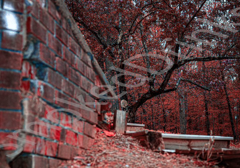 Fall