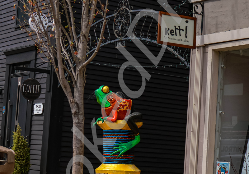 Frog Statue