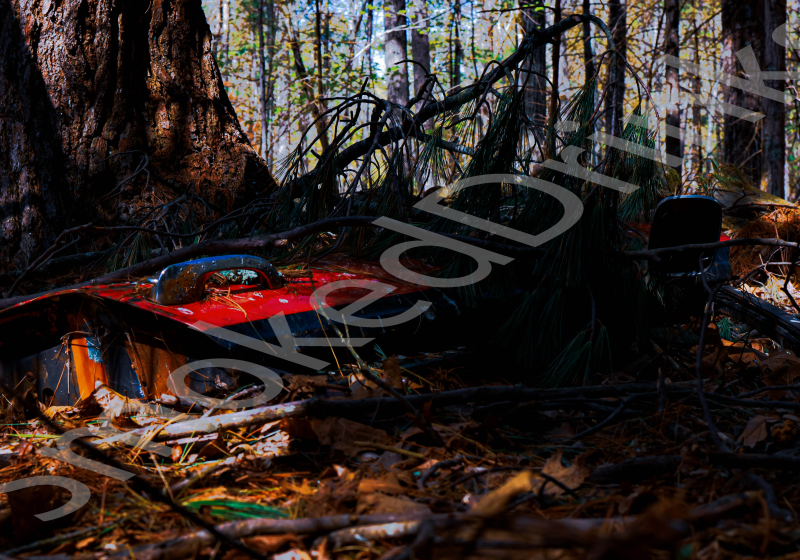 Junk Pile In Woods