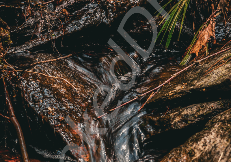 Waterfall Stream
